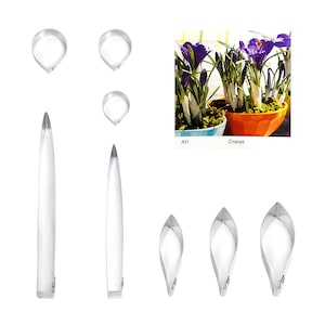 crocus flower Full Set Cutters fondant sugar flower cutters baking cake decorations Polymer Clay Cold Porcelain gumpaste tools