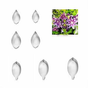Clematis Full Set Cutters  fondant sugar flower cutters baking cake decorations Polymer Clay Cold Porcelain gumpaste tools