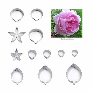 May include: Set of 10 metal cookie cutters for making rose and leaf shapes. The cutters are silver and have a shiny finish. The cutters are arranged in two rows, with the rose cutters on top and the leaf cutters on the bottom. The cutters are all different sizes.  David Austin rose.
