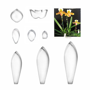 Op de afbeelding: Set van 8 metalen koekjesvormen in de vorm van orchideeën bloemblaadjes. De vormen zijn in een rij op een witte achtergrond gerangschikt. De afbeelding bevat ook een foto van een echte orchidee met de tekst "Paph Exul".