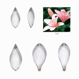 Lily Petal and leaf Full Set fondant sugar flower cutters baking cake decorations Polymer Clay Cold Porcelain gumpaste tools Wedding