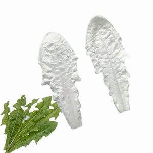 Può includere: Due stampi in silicone bianco a forma di foglie di lattuga. Gli stampi sono progettati per realizzare lattuga dall'aspetto realistico per decorare torte o altri progetti di artigianato.
