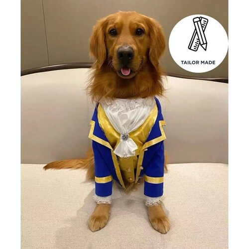 beauty and the beast costume for dogs