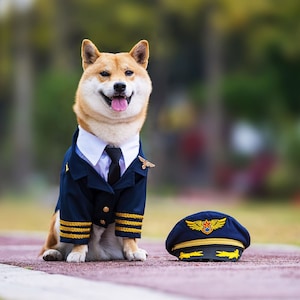 Custom Made Dog Cat Pet Pilot Captain Aviator Uniform Blazer Coat and Cap with Golden Badge Wings Costume Theme image 2