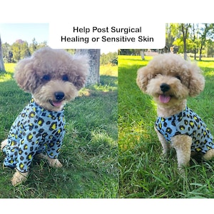 Medical pet shirt canada shop