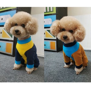 Könnte beinhalten: Zwei kleine braune Hunde, die blaue und gelbe Hundepyjamas tragen. Der Hund links trägt einen gelben und blauen Overall. Der Hund rechts trägt einen braunen und blauen Overall.
