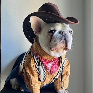 May include: A white French Bulldog wearing a brown cowboy hat, a yellow and brown plaid long-sleeve shirt, a red paisley bandana, and a black and white cow-print vest. The outfit includes blue fabric elements and a black chin strap for the hat.