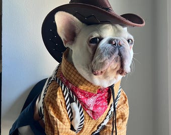 Cowboy-Hundekostüm mit Hut, Western-Halloween-Outfit für Haustiere, Rodeo-Kleidung für Katzen, geeignet für kleine, mittlere und große Rassen, Foto-Requisite für Ranch-Partys