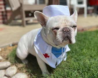 Dog Cat Pet Doctor Nurse Practitioner Surgeon Veterinarians Bandana Bib, Halloween Photo Costume, Funny Vet Visit Dress Up Idea