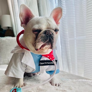 Doctor Pet Dog Cat Costume, Scrub and Lab Coat, Front Line Medical Surgeon Coat, Hospital Therapy Dogs Uniform