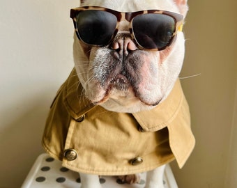 Hund Katze Haustier Inverness Cape Bandana Lätzchen, Halloween Dress Up Foto Kostüm Umhang, Trenchcoat Bandana