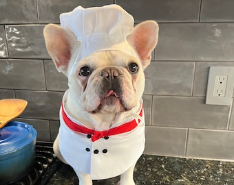 Halloween Chef Dog Cat Pet Costume, Kitchen Helper Assistant Costume