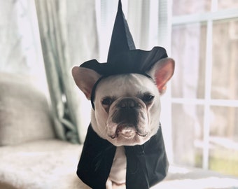 Halloween Dog Cat Pet Costume, The Witch High Top Hat and Bandana Cape, 19th Britain Costume