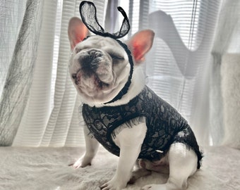 Mascota perro gato Halloween Playboy Bunny disfraz, camisa Sexy de encaje negro, mascota divertida disfrazarse Cosplay