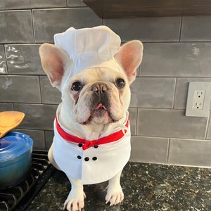 Halloween Chef Dog Cat Pet Costume, Kitchen Helper Assistant Costume, Embroidery Available