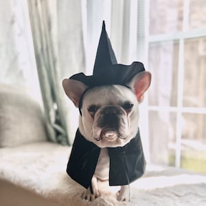 Halloween Dog Cat Pet Costume, The Witch High Top Hat and Bandana Cape, 19th Britain Costume