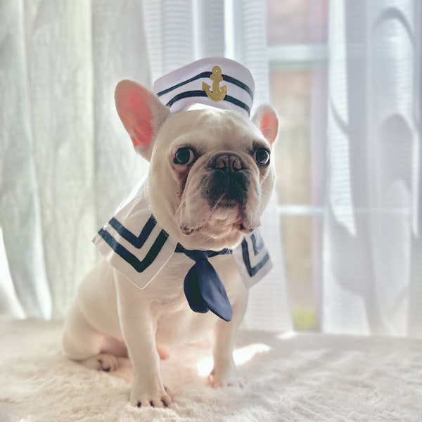 Déguisement chien chat d'Halloween, matelot de pont marin costume bandana et chapeau