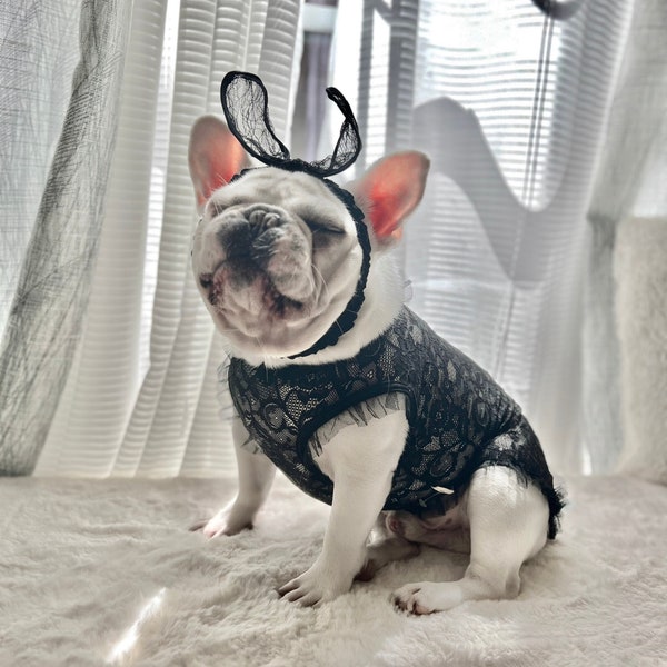 Pet Dog Cat Halloween Playboy Bunny Costume, Black Lace Sexy Shirt, Funny Pet Dress Up Cosplay