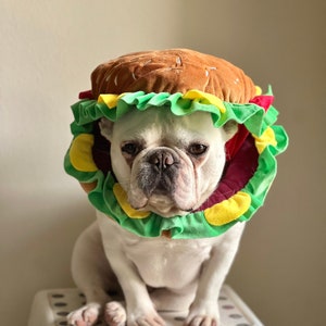 Pet Halloween Photo Costume, Dog Cat Burger Mascot Hat, Party American Fast Food Costume