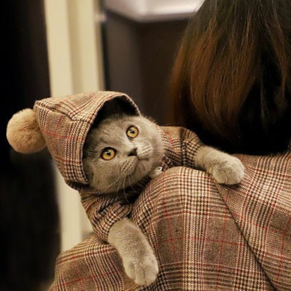 Perro gato ropa Zip Plaid Trench Coat Faux Furo pompón sudadera con capucha Diseño Hippie Hipster chaqueta ideal para gato cachorro pequeño a perro mediano
