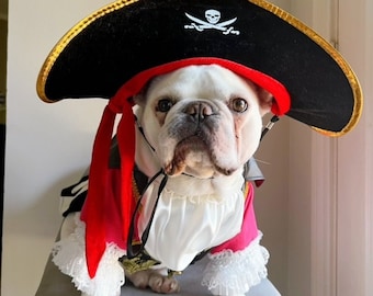 Pirate Dog Cat Pet Halloween Costume, Renaissance Festival Pink