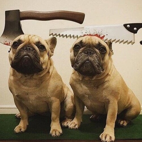 Funny Halloween Zombie Horror Bloody Hairband Costume Saw Axe Scissor Hammer Watermelon Knife Cleavers headband for Pet Dog Cat and Human