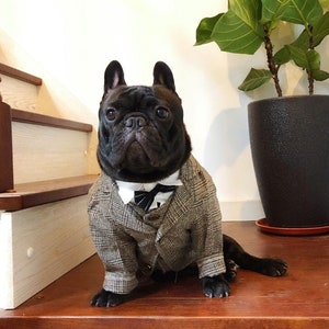 Hund Katze Bekleidung Hipster Hippie Mafia Thema Anzug Weste Jacke Western Anzüge Mantel Smoking Set Hochzeit Bankett Gentleman Bräutigam