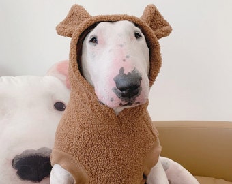 3D Teddybär Hoodie: Fleece Hundepullover für große Rassen