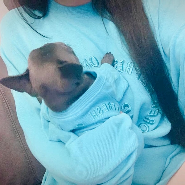 Matching Pet Owner Set for Pets Cat Dog Parent Long Sleeve Cozy Macaroon Color Sweatshirt Sweater Hoodie Mom and Pet Matching Outfit