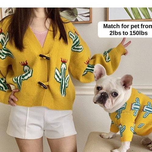 matching human and cat sweaters