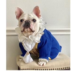 Dog prince charming costume discount