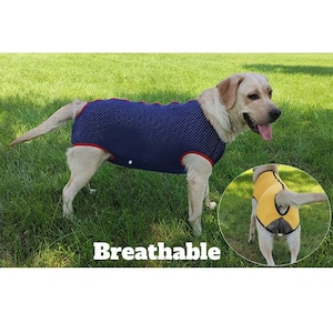 Big Dog Recovery Zipper Pajamas Breathable Mesh Style Suit Abdominal Wound Protector Bodysuit Medical Surgical Calming Clothes