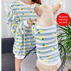 Matching Pet Owner Set for Pets Cat Small Big Dog Parent Piña Ananas Pineapple Print Sweatshirt Sweater Hoodie Mom Dad Twinning Outfit
