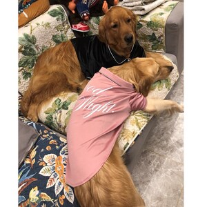 dog silk pajamas