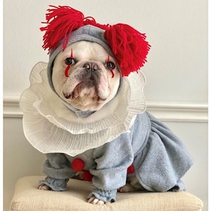Evil clown dog costume sales