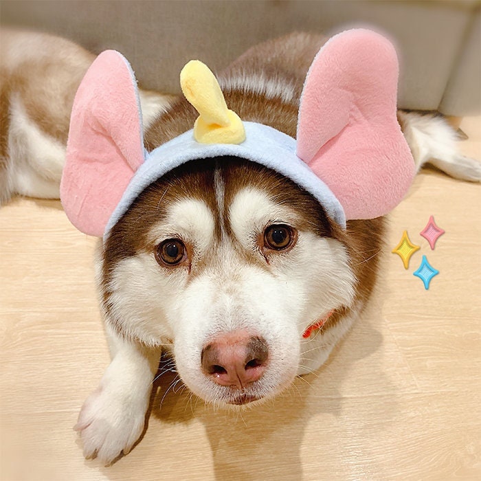 St Bernard Halloween Costumes 2022 Halloween Costume Dog Cat Pet Cute Elephant Headband Big Etsy India