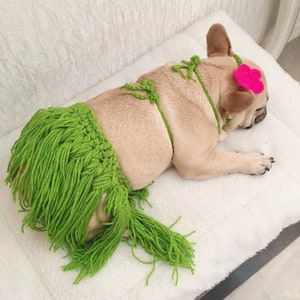 Dog Cat Pet Aloha Hawaii Bikini Beach Summer Vibe Luau Theme Party Hula Skirt Coconut Bra Costume image 6