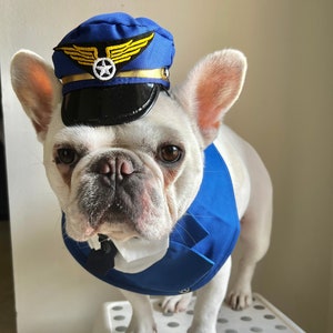 Dog Cat Pet Pilot Bandana Bib, Halloween Dress Up Photo Costume, Fly with Dog Cat Funny Costume