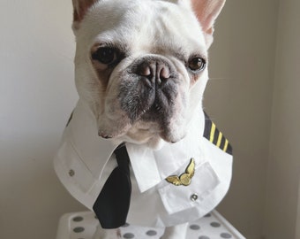 May include: A white French bulldog wearing a white pilot costume with a black tie and gold wings. The dog is sitting on a white stool with black polka dots.