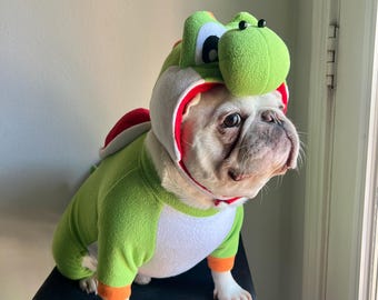 Grünes Dinosaurier-Hundekostüm, Super-Drachen-Haustier-Halloween-Outfit, Schildkröten-Cosplay für Katzen, kleine, mittlere und große Rassen, Welpen-Partykleidung