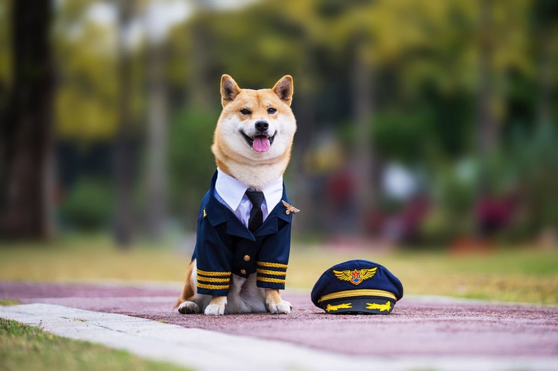 Custom Made Dog Cat Pet Pilot Captain Aviator Uniform Blazer Coat and Cap with Golden Badge Wings Costume Theme image 2