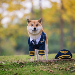 Custom Made Dog Cat Pet Pilot Captain Aviator Uniform Blazer Coat and Cap with Golden Badge Wings Costume Theme image 5