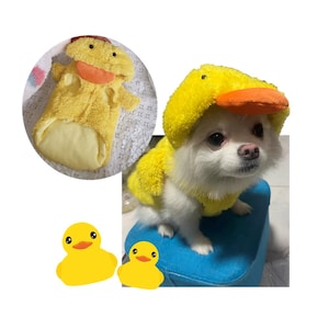 Puede incluir: Un perro blanco con un disfraz de pato amarillo. El disfraz tiene una capucha con un pico y un cuerpo amarillo con detalles naranjas. Dos patos de goma amarillos est&aacute;n en primer plano.