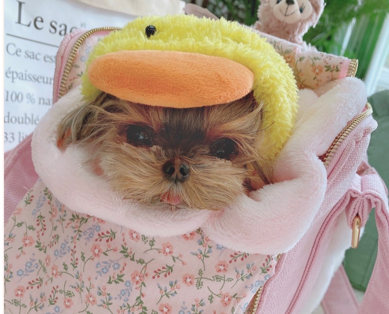 Puede incluir: Un peque&ntilde;o perro marr&oacute;n y blanco con un gorro de pato amarillo est&aacute; dentro de una bolsa de transporte rosa con estampado floral. La bolsa tiene una cremallera y un tirador de cremallera dorado.