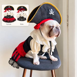 Pirates of the Caribbean Dog Shirt - Etsy