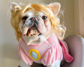 Disfraz de Princesa para Perro o Gato: Disfraz Rosa para Cosplay