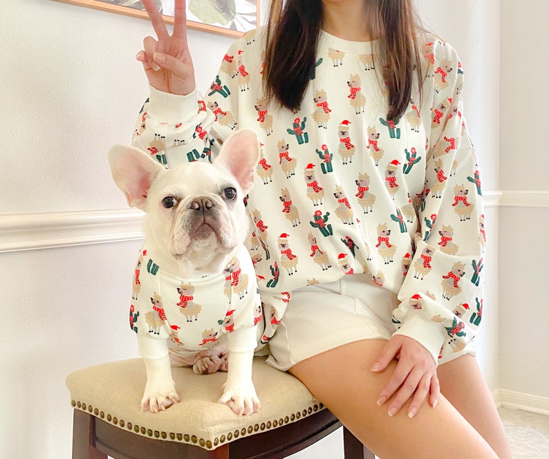 Dog christmas sweater matching 2025