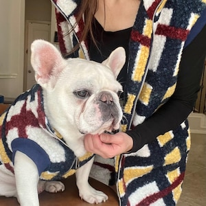 May include: A white French Bulldog wearing a patterned jacket with navy, yellow, and burgundy accents. The dog is being held by a person wearing a matching vest. The jacket and vest have a zip-up closure.