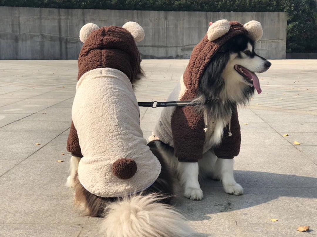 Tailor Made Teddy Bear Hoodie Big Dog 3D Bear Costume Hoodie for Labrador Golden Retrieval Pit Bull Husky German Shepperd Samoyed Etsy