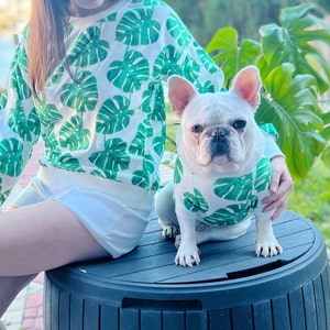 May include: A white and green patterned sweatshirt with a matching dog sweater. The dog is a French Bulldog sitting on a black plastic container.